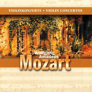 Violinkonzert Nr. 3 G-Dur, KV 216 / Violin Conzerto No. 3 inG, K216: I. Allegro