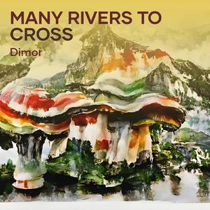 Many Rivers to Cross