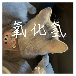 氧化氢（抖音女声版）