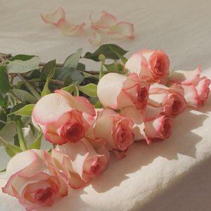 归期 (Cover 钱润玉)