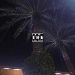 RAVEN (feat. TRIPPTHEGOAT)