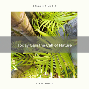 Wild Beach Compositions to Dream and be Great