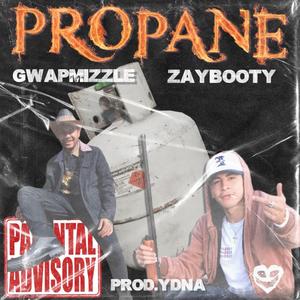 Propane (feat. Zaybooty)