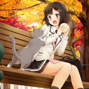 君の知らない物語-Supercell-你不知道的故事 钢琴版