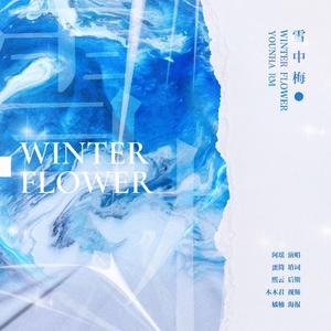 WINTER FLOWER雪中梅 中文填词版（翻自 Younha）
