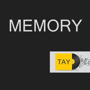 TAY Memory