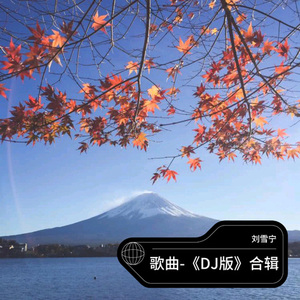 今生难还爱情债 (DJ默涵版)