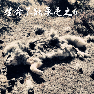 每个人的东西都是好东西