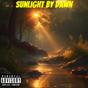 Sunlight by Dawn