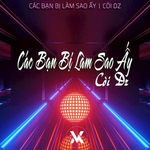 Các Bạn Bị Làm Sao Ý
