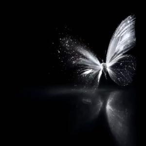 最后一页 (Cover 江语晨)