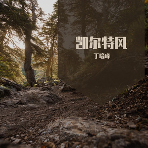 塔拉山的钢琴手《凯尔特风》