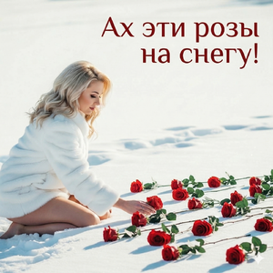 Ах эти розы на снегу!