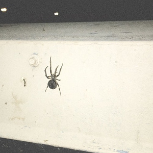 ASBU (Prod by $OJHI P.)