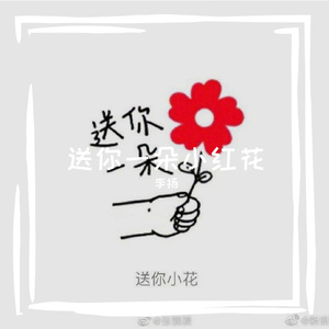 送你一朵小红花（翻自 赵英俊）