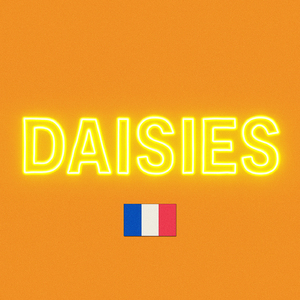 DAISIES