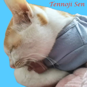 時速160公里的吉他、貝斯和鼓