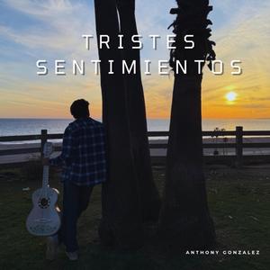Tristes Sentimientos