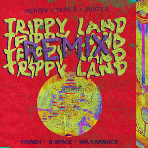 TRIPPY LAND REMIX