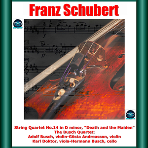 String Quartet No.14 in D Minor, D.810 "Death and the Maiden":II. Andante con moto