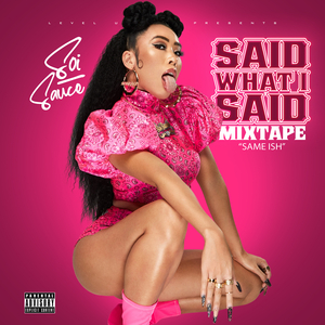 Said What I Said (Same Ish) [Mixtape]