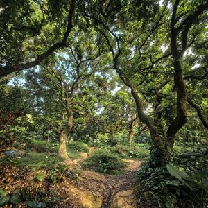 相信生命的风会把我们吹成缤纷的人