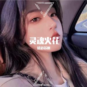 六大大-灵魂火花（remix）（精彩苏刚 remix）