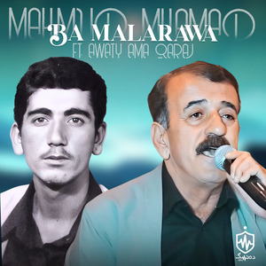 Law Baxayda