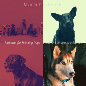 Stylish Guitar Solos - Vibe for Relaxing Pups