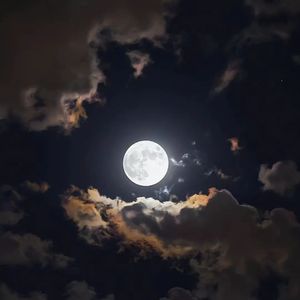 夏日奔赴（男生版） 伴奏