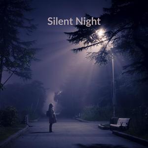 17. Journey into the Night