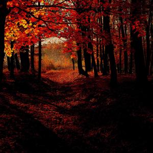 the V.I.B.E. (feat. Kyro)