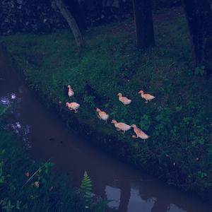 1451（完整版）demo 伴奏