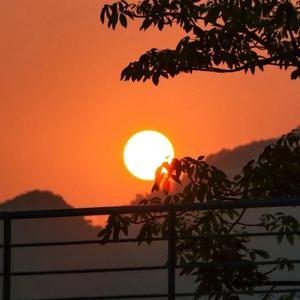 破绽婷 - 无题(2)