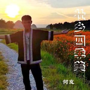壮乡四季美 (DJ何友版)