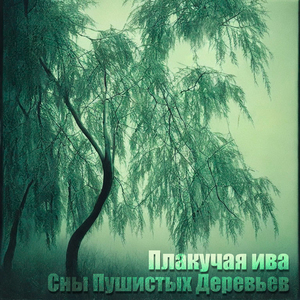 Вороны