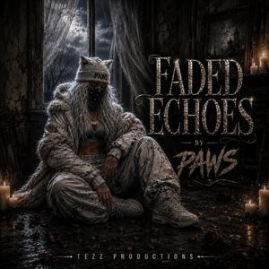 Faded Echoes