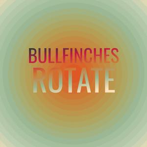 Hollandaise Entrecote