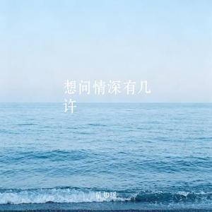 想问情深有几许