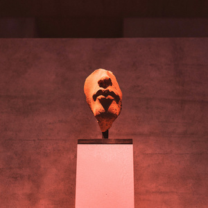Lobo Bolo