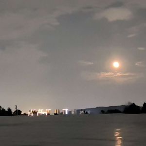 有你同行-无糖咖啡