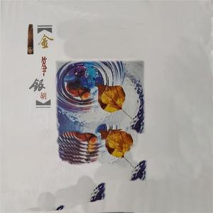 慢慢陪着你走 / 到哪里找那么好的人 (古筝)