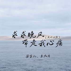 求求晚风带走我心痛(走心女版)