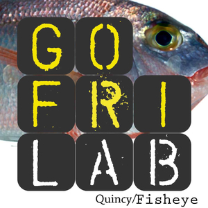 Fisheye (Gofrilab Remix)