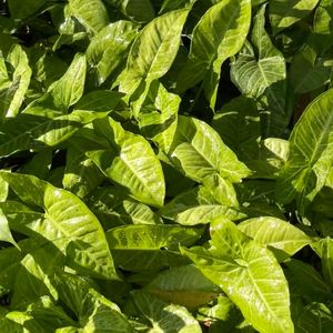 陪跑能陪我一起追逐梦想的背影