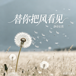 替你把风看见