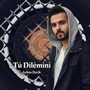 Tû Dilêminî