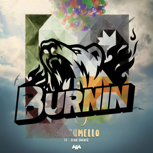 Fly X Somebody that i used to know（BURNIN MASHUP）