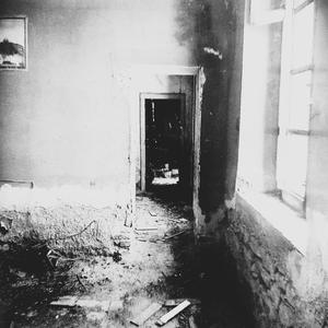 APICE (feat. inSilenzio) (take 4)