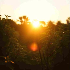 慢慢认真地活着